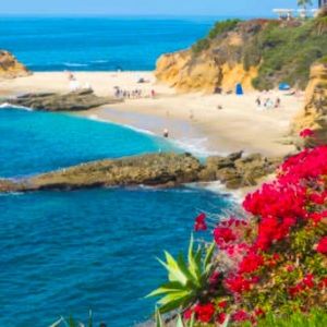 Meet your Posher, Renie